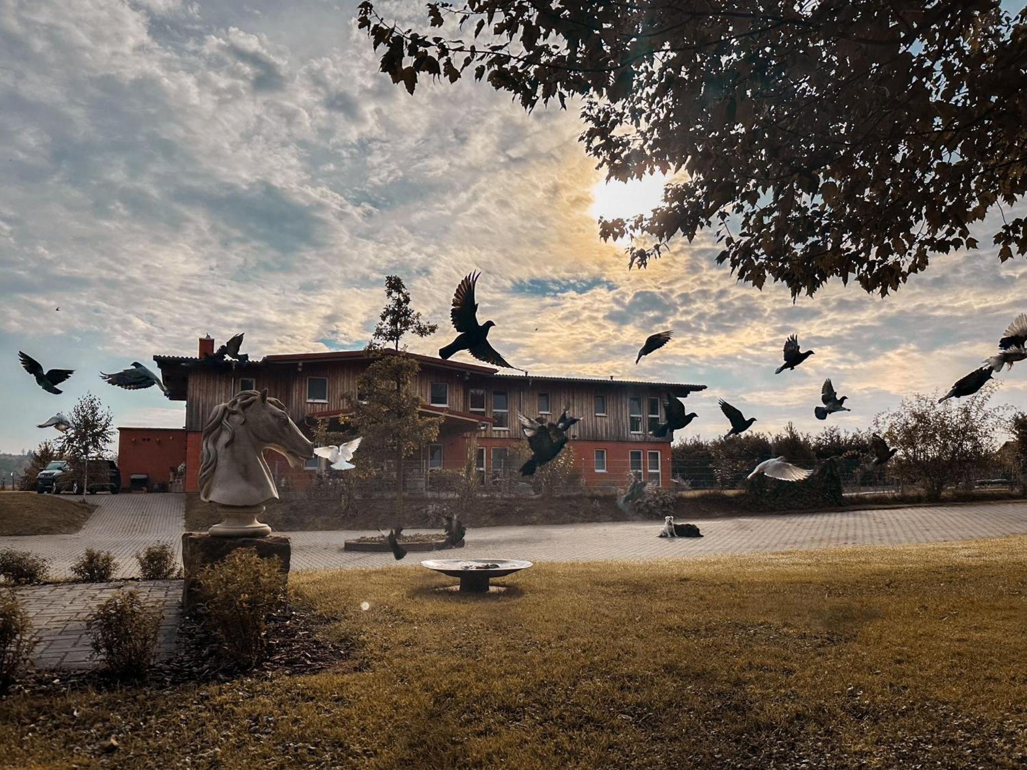 Hotel Rappenhof Breuna Dış mekan fotoğraf